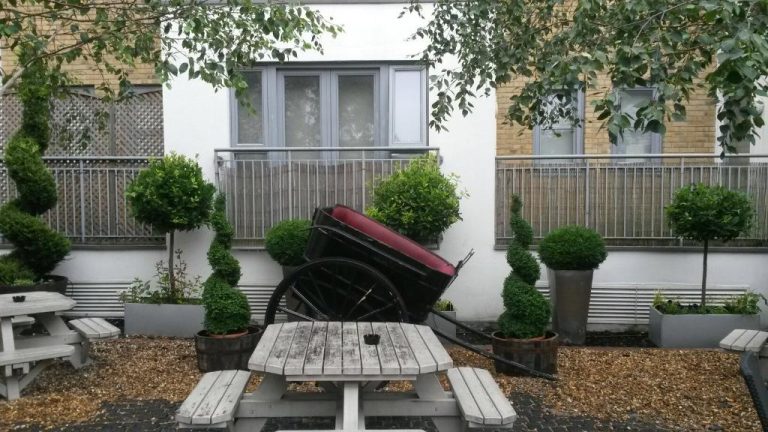 garden july 2015 1 768x432