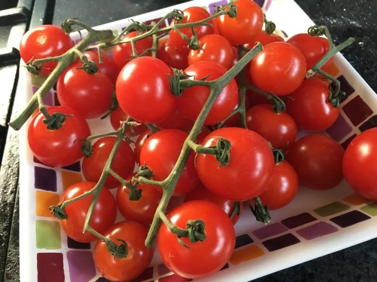 home cooking 1 768x576