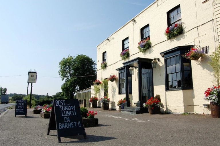 the green dragon 1 768x510