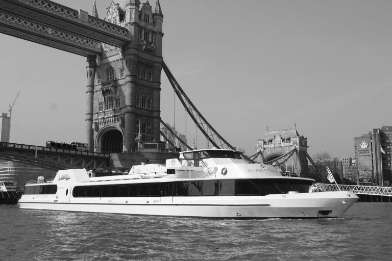 CopyofSilverSturgeon TowerBridge2 768x512