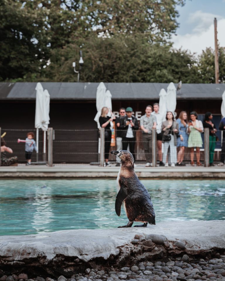 a1059396 09ac 456a 95a6 28261067ae1c 768x960