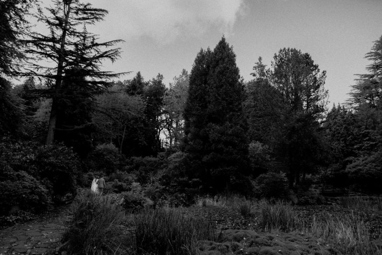 00b7db40 9054 4153 aa07 bd67b5965d1b 768x512