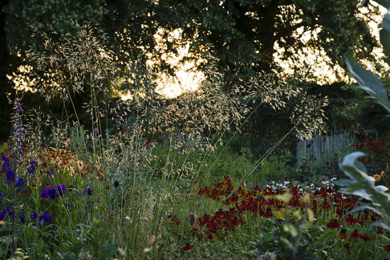 01112x8 Copy 768x512