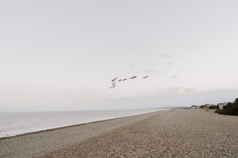 0131c792 63fb 42ed 9272 2376b1b893b8 768x512