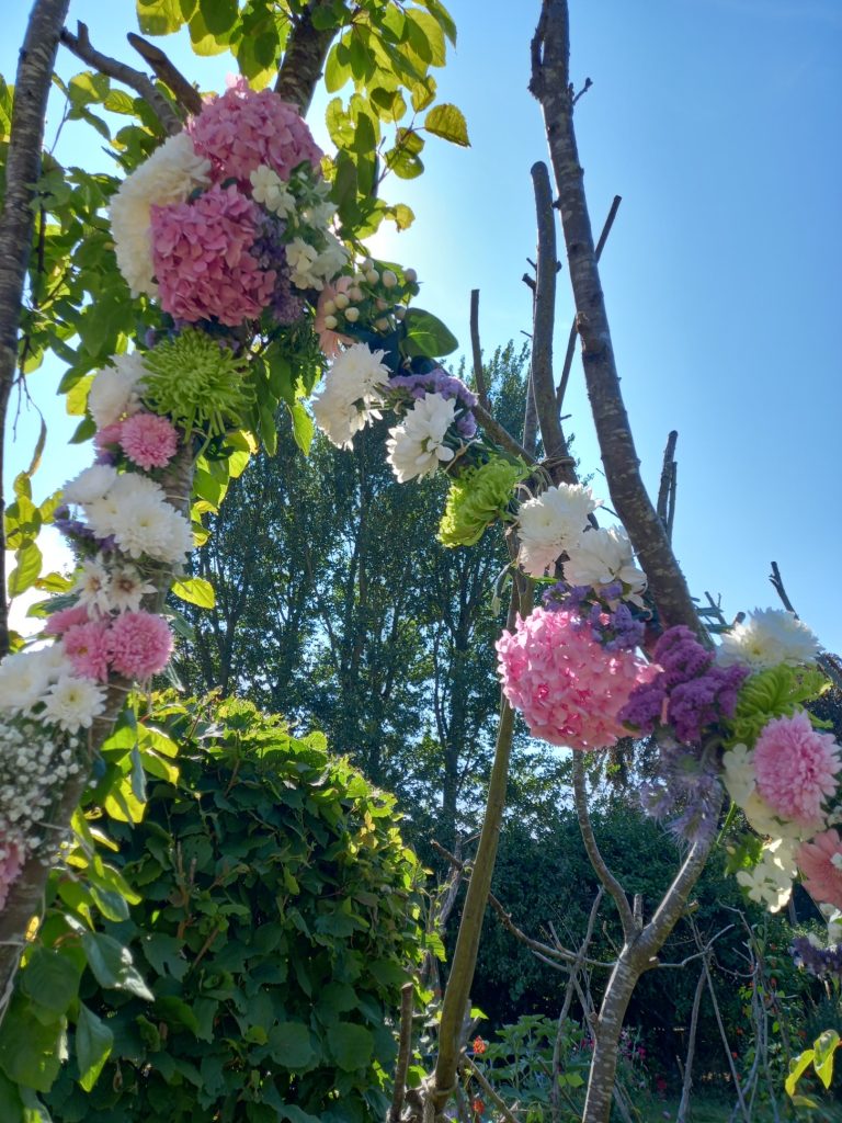 032883df 405f 4ea9 b884 c2728907458b 768x1024