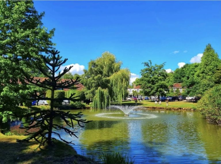 03df787b 6936 495f 8131 21e5f6329b63 768x571