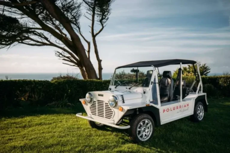 03e7568b d424 43cd 8344 2cfd1d403566 768x512