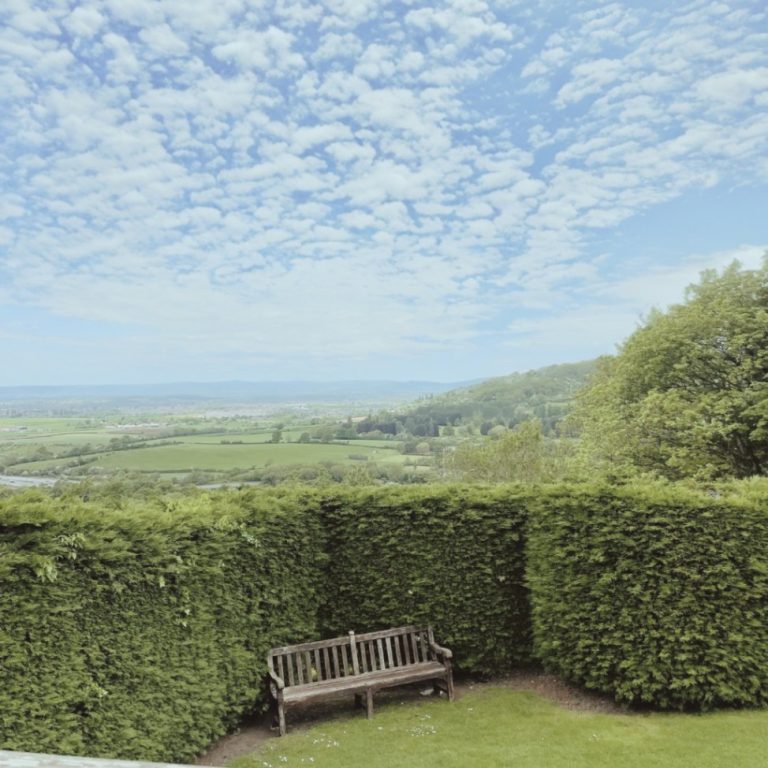 04d13e4e 3f96 4176 b21d 76d63fb9ebd7 768x768