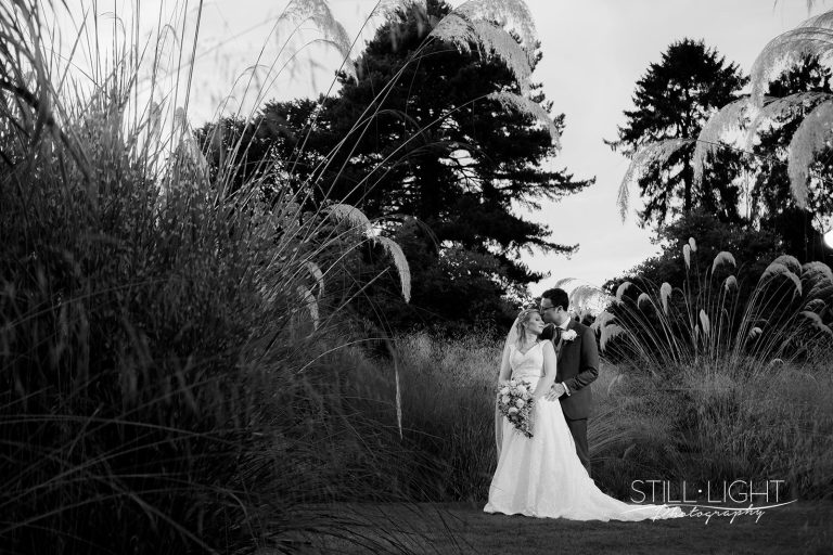 05 Goodwin Evening 1019 websize 768x512