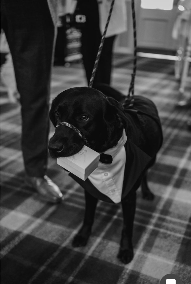 05de7cc6 3adc 4be1 9d25 d8d9e2b618c3 768x1141