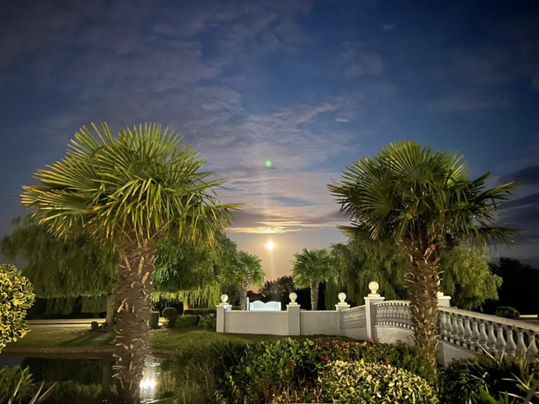 06d26966 c34d 4860 905e deffea178f96 768x576