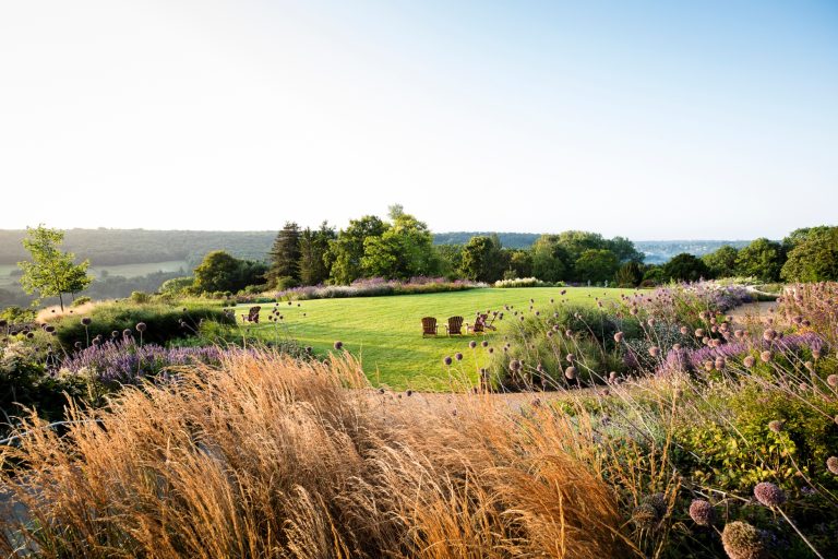 07539362 4694 484a 9747 71dcc2929dc0 768x512