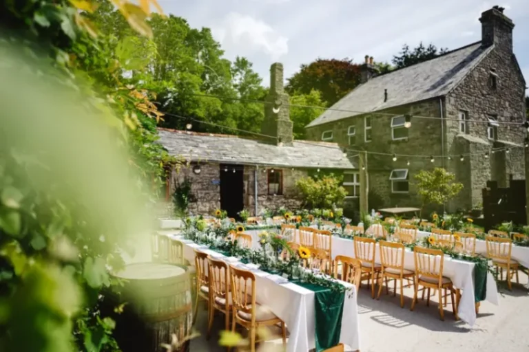 0a424e74 e67f 44d0 8b93 59ab9584ae63 768x512