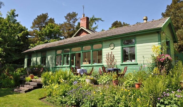 0c0a8e 9c32350ec09e46338e87a305cd142b0b qqb5o1 1 768x450