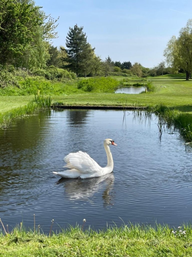 0cda35e2 3814 4443 82e7 257354d15ebe 768x1024