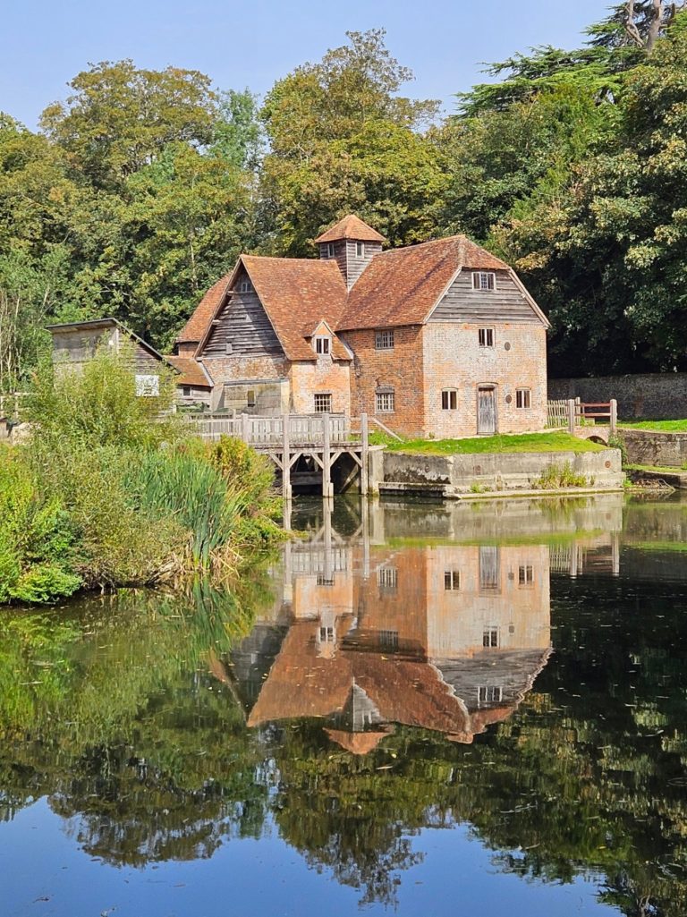 0d53b434 1db2 4532 8a2e 4ca23e8d322c 768x1025