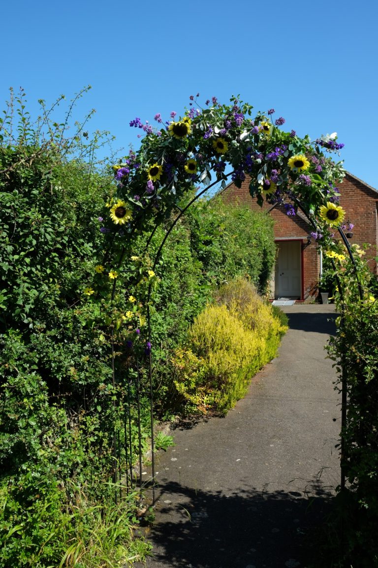 0e54c32f fab6 498b a2ca 0329270886b1 768x1152