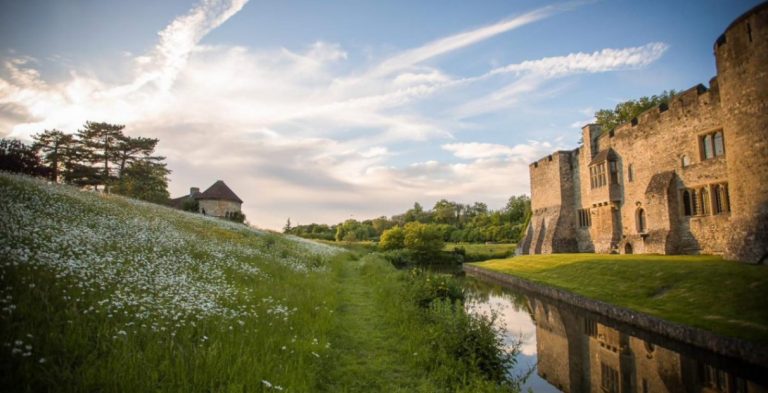 0f02ab8a 849e 47bd bc71 362a6d8ac844 768x393