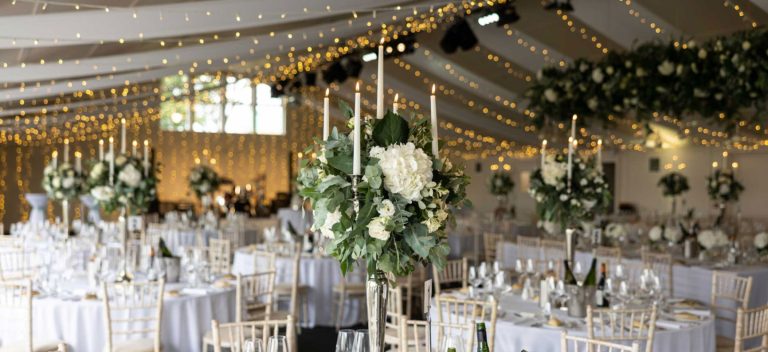 0f9e1477 7dc0 4e6f 8a59 5f73e3a90a69 768x352