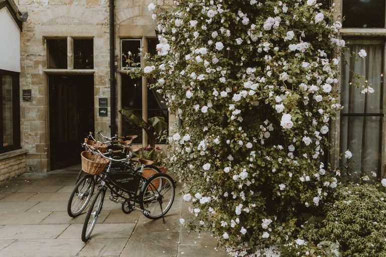 0fbdb107 46fd 4087 bf13 f7c1b3c2d38e 768x512