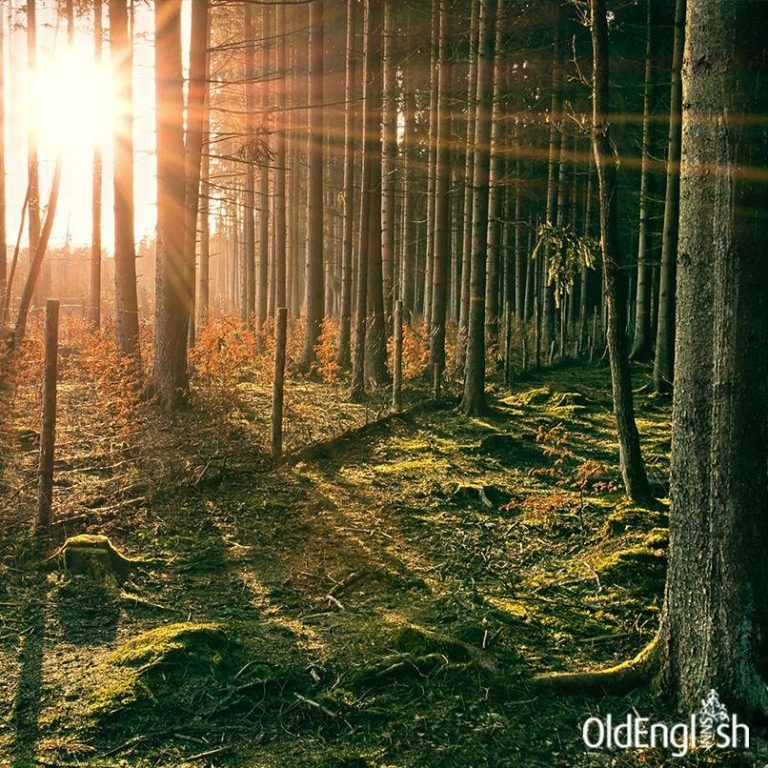 10003924 700665103313048 3768146072721838793 n nxxeb4 768x768