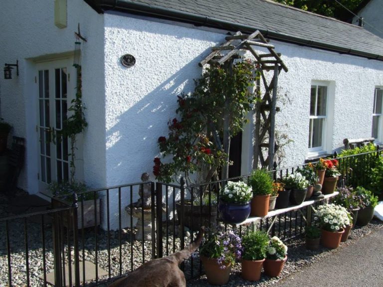 1006180 529311630467881 1084727638 n qlnulf 768x576