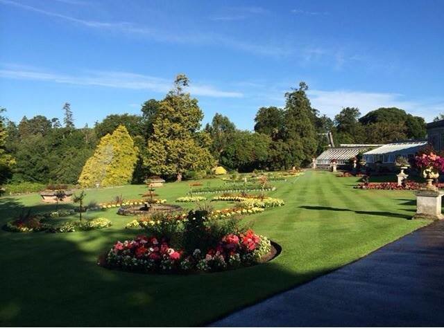 10492572 325640417594125 2927223036560138541 n ufdmon