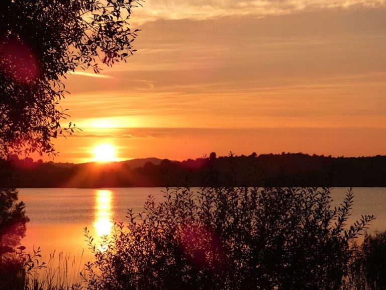 10584029 10152675838683605 7951355459689214345 n sje3ot 768x576