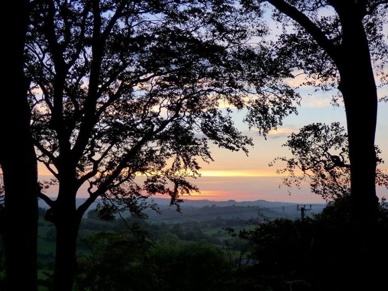 10609474 10152675836988605 7839833554563085612 n neoytx 768x576