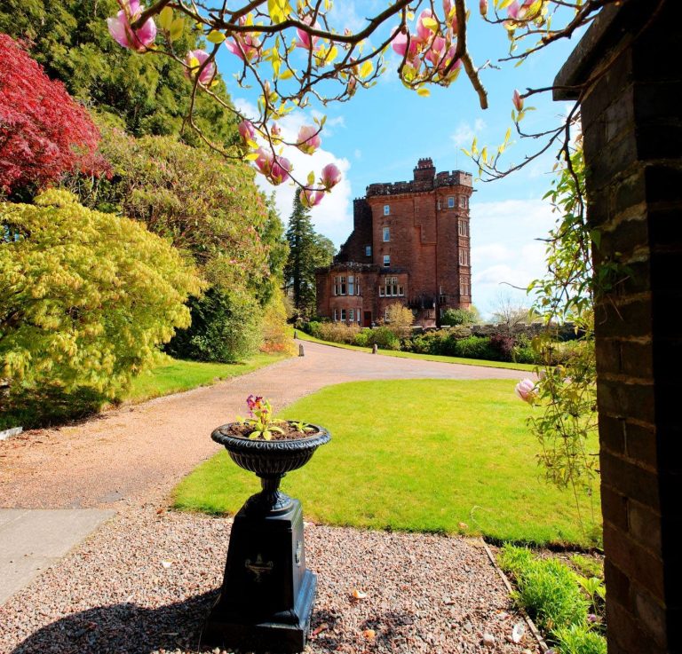 10926285 785089811561280 1152963690379555440 o axwt3l 768x737