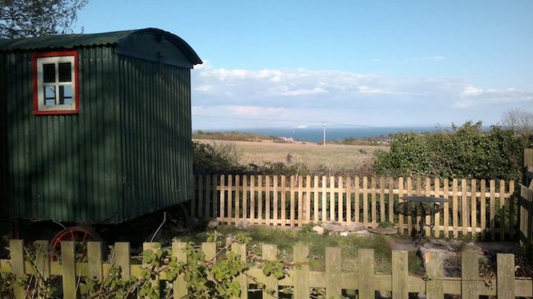 11042012724 i3p1m2 768x431