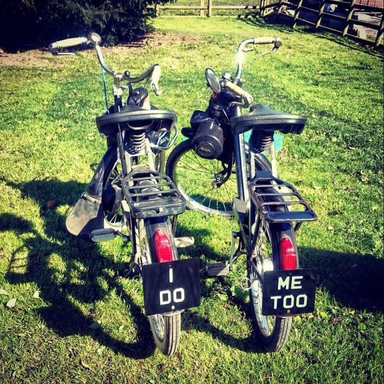 11140036 1067587406602556 34319734403566320 n mypgep 768x768