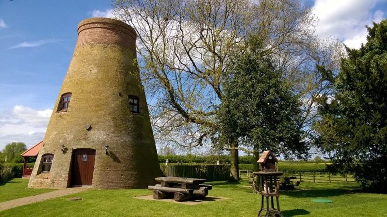 11196322 1072294776131819 4573607529333677972 n dzyczi 768x432