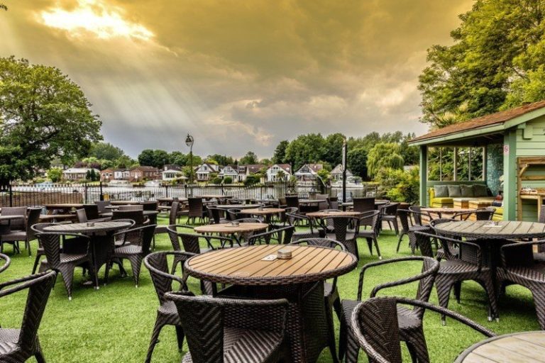 1142 Swan June16 09 ilzmyk 768x512