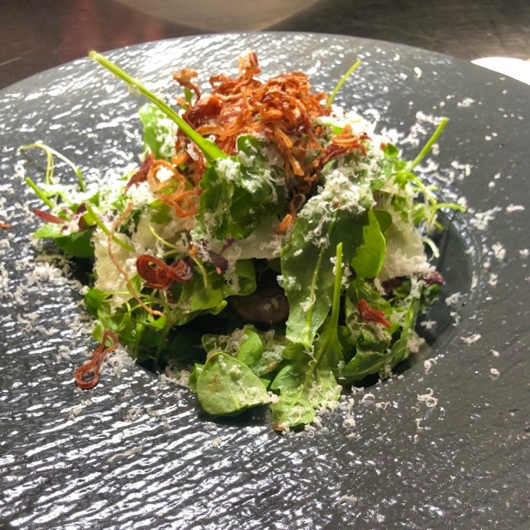 119071381 10158878261613735 8066771960624954287 o 17022021055028 768x768