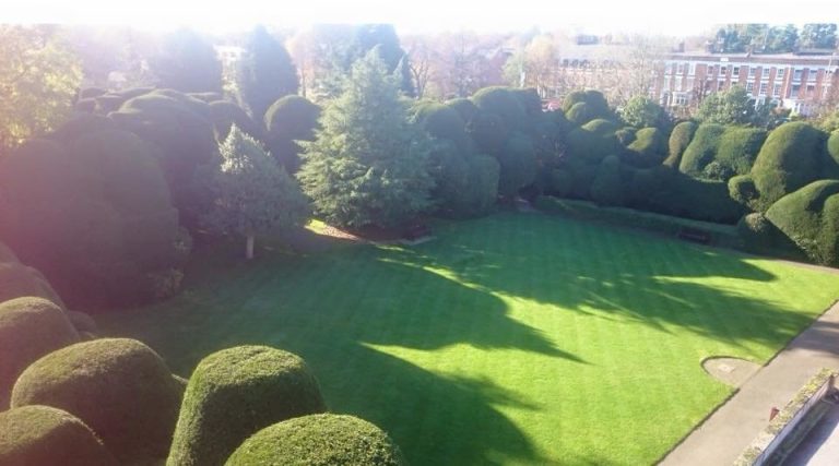 12239636 977795848953978 2613238751672504360 n vkbj2g 768x427