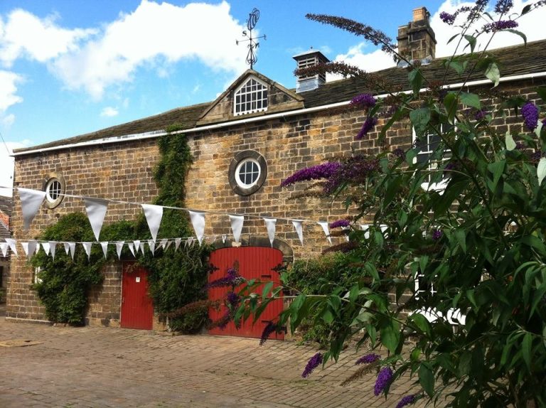 12241362 1010042352396506 4355437013464347598 n wenvwv 768x574