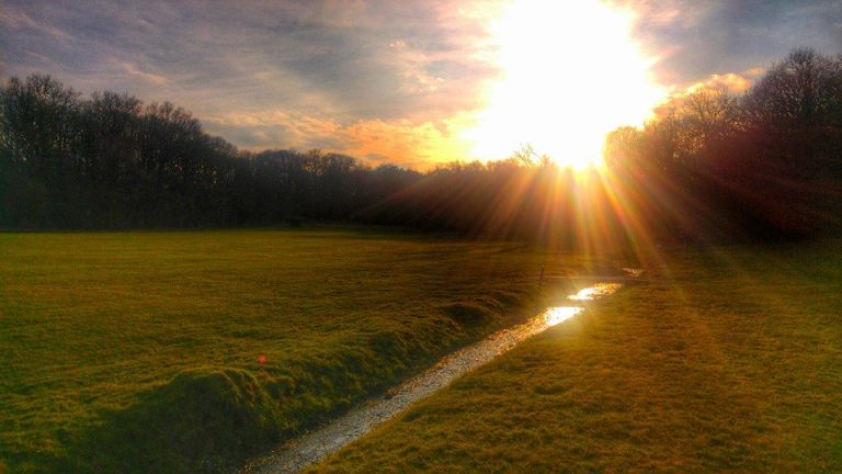 12795424 1163027917063468 2383857143641066510 n ojz9gt 768x432