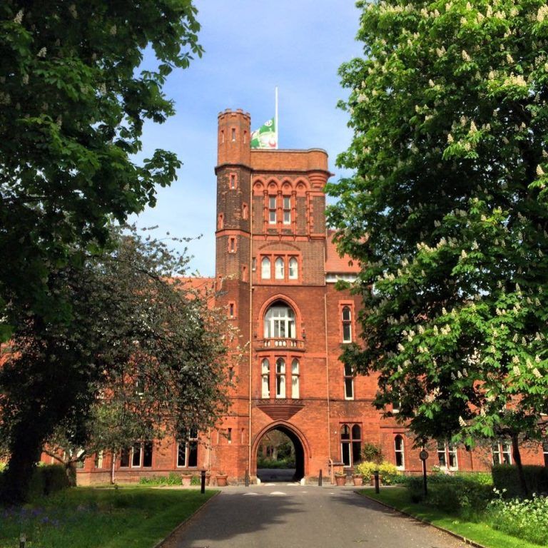 13178028 10153608865868231 5763001309603951830 n ngtfq3 1 768x768