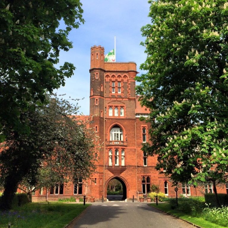 13178028 10153608865868231 5763001309603951830 n ngtfq3 768x768