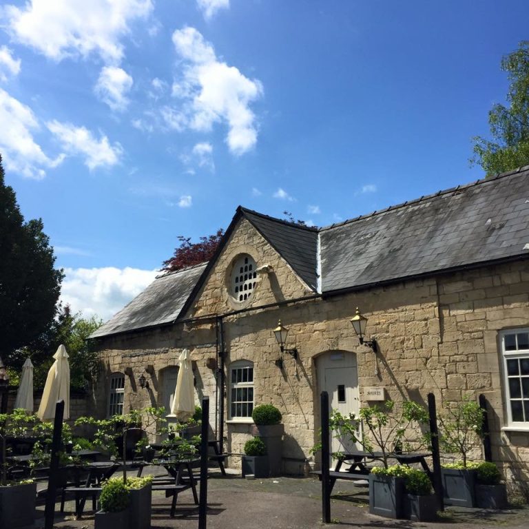 13179315 1122634011091500 8366081727415599744 n tfdx72 1 768x768