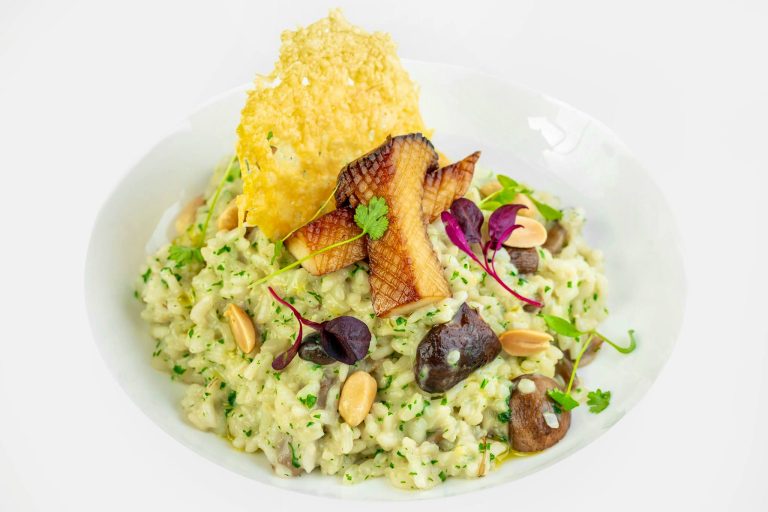 132027364 112910830659245 64288035779322875 n 09122021045744 768x512