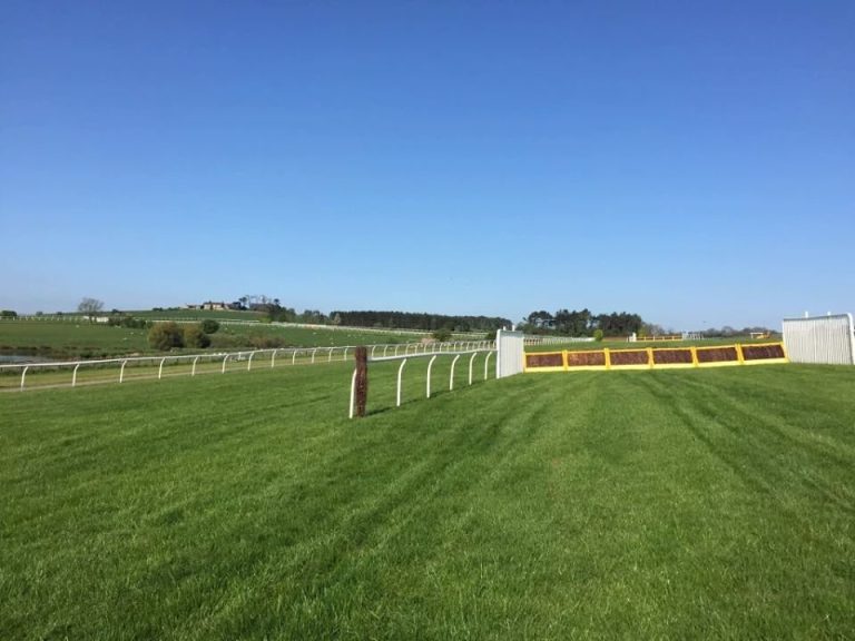 13226911 1188463757831159 3068826955322708699 n bhknzn 768x576