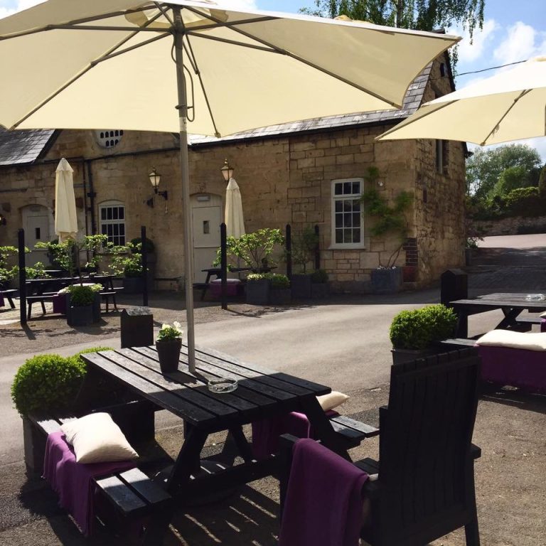 13240540 1129476453740589 3874217126212895163 n ywnikk 768x768