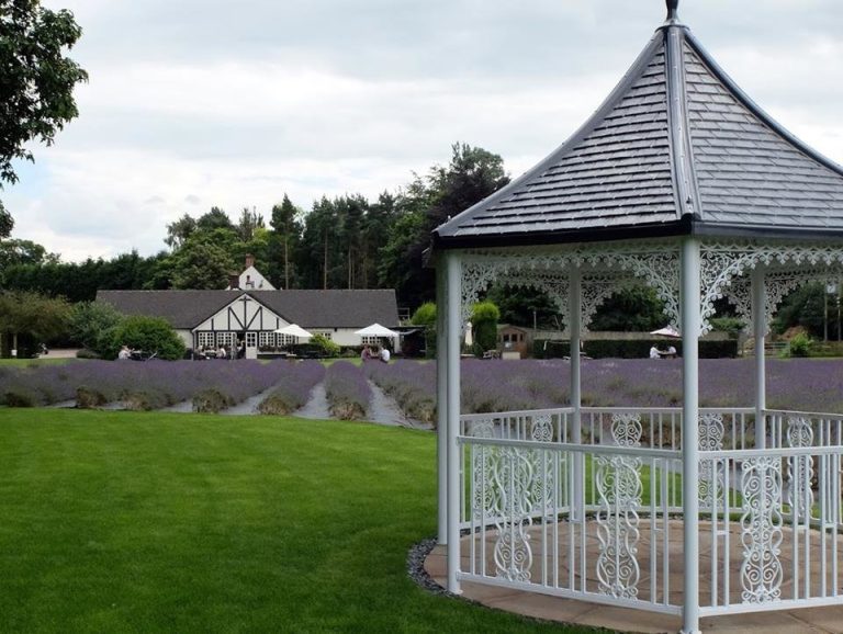 13709908 1122134971179293 8087366694186646085 n ooz0jp 768x578