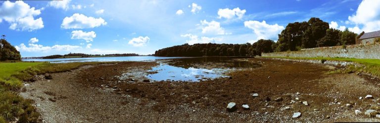 13723903 1112361308810200 7275648675840330113 o pw2izu 768x249