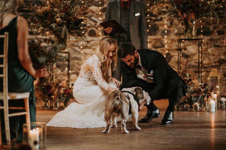 140c88a2 9eeb 4fee 8fc9 c19d36dfb429 768x512