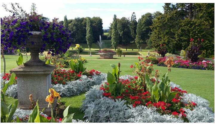 14192574 658278874330276 2617266016095077592 n iagyz9