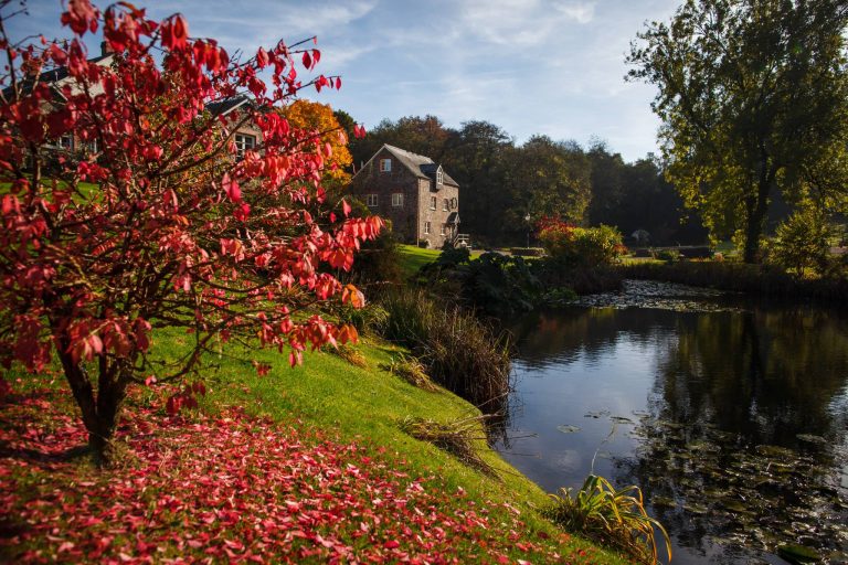 14883551 1849728541926386 6354402777684660563 o 768x512