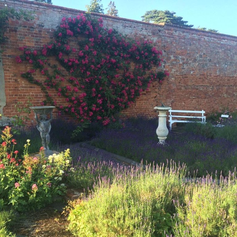 14B76775 1E99 434C AB0D 165A9675DE67 768x768